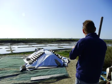 Guérande : la passion salée de Sylvain Réminiac
