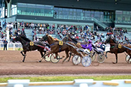 La société des courses lance sa saison estivale à l'hippodrome de...