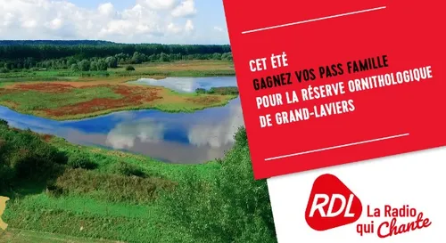 BALADE DANS LA RÉSERVE ORNITHOLOGIQUE EN BAIE DE SOMME
