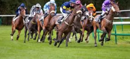 Mardi 15 Septembre - LES PRONOSTICS DE SEBASTIEN MORTAGNE