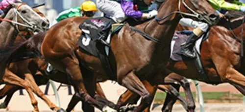 Dimanche 4 Octobre - LES PRONOSTICS HIPPIQUES DE SEBASTIEN MORTAGNE