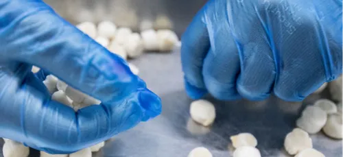 Covid19 : l'entreprise Conegan fermée à Wimille