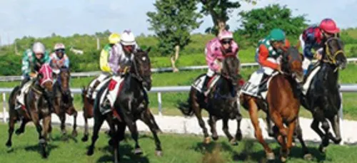 Samedi 17 Octobre - LES PRONOSTICS HIPPIQUES DE SEBASTIEN MORTAGNE