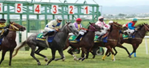 Mercredi 21 OCTOBRE - LES PRONOSTICS DE SEBASTIEN MORTAGNE