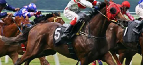 Lundi 26 Octobre - LES PRONOSTICS HIPPIQUES DE SEBASTIEN MORTAGNE