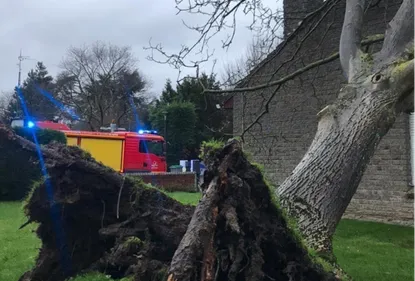 Tempête Bella : plus de 300 interventions de pompiers dans le Nord...