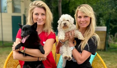 La SPA de Saint-Omer dans la 3e saison de l'émission « Animaux à...