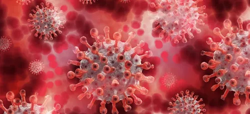 Le variant anglais du coronavirus détecté dans les Hauts-de-France