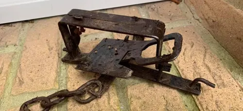 Mais qui en veut aux chats de Locon ?