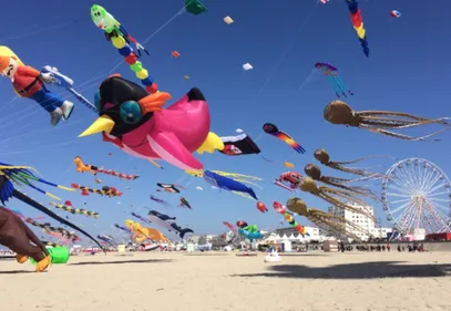 Berck-sur-mer : les 36e Rencontres Internationales de cerfs-volants...