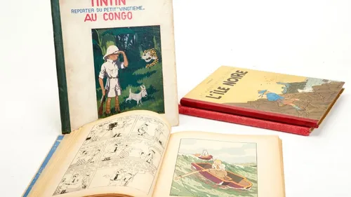Un exemplaire de "Tintin au Congo" vendu 11 000 euros aux enchères...