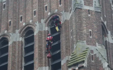 Béthune : deux faucons coincés en haut de l'église Saint-Vaast...