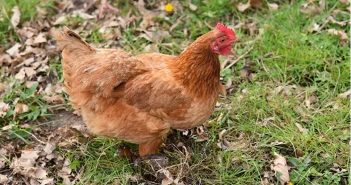 Auby : 2 adolescents interpellés dans l'enquête sur le massacre...