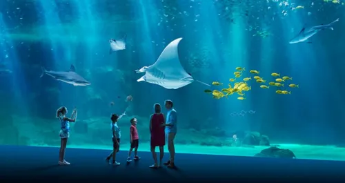 Nausicaa renonce à introduire de nouvelles espèces prélevées en...