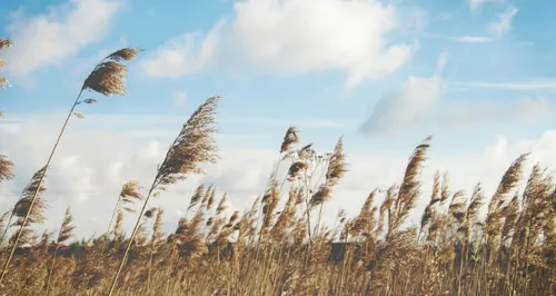 Retour du beau temps : Atmo Hauts-de-France alerte sur le retour...