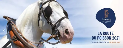 La Route du Poisson reportée à septembre 2022