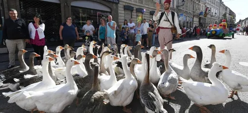 Audomarois : La fête de l'andouille et la fête du Parc annulées !
