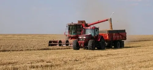 Région: Les moissons ont du retard, les rendements sont mauvais...