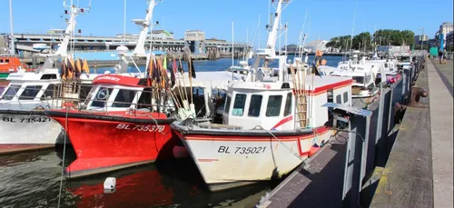Boulogne / Mer: Les pêcheurs ont bloqué l'accès à la criée cette nuit