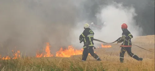 Agriculture: Plusieurs feux de champs, ce week-end, en pleine moisson