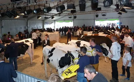 Hazebrouck : la Foire agricole, commerciale et artisanale de retour...
