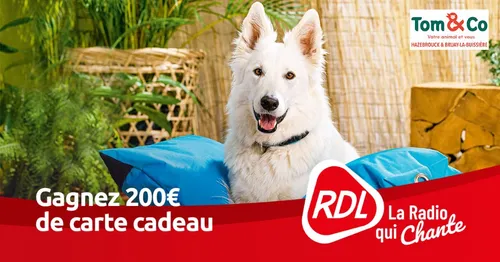 Gagnez 200 euros à dépenser dans les magasins Tom & Co !