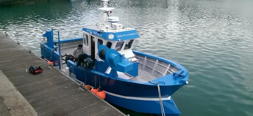 Littoral: 12 nouvelles licences britanniques viennent d'arriver...