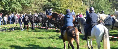 Mont des Cats: Une Saint Hubert, mais sans randonnée, cette année!