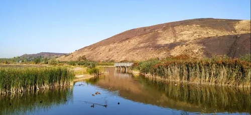 Drocourt: Un corps sans vie repêché hier