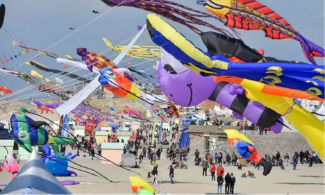 Berck-sur-mer : les rencontres internationales de cerfs-volants...