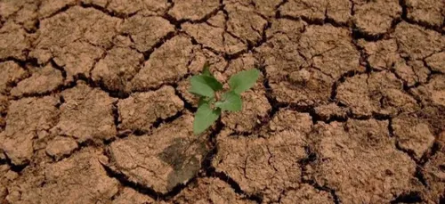 La revue de presse du 8 novembre