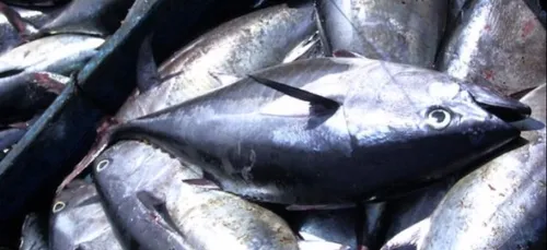 La revue de presse du 23 novembre