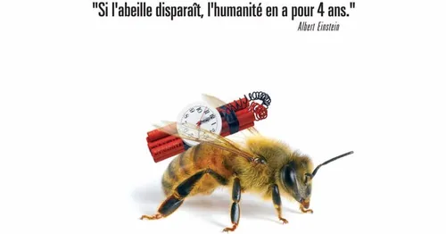 Les abeilles en grand danger