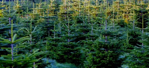 La revue de presse du 8 décembre