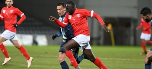 L2 : les Crocos solides deuxièmes