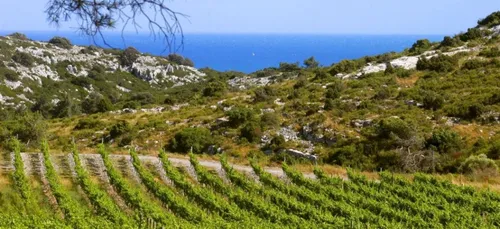 La revue de presse du 13 décembre