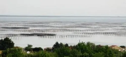 La revue de presse du jeudi 21 décembre.