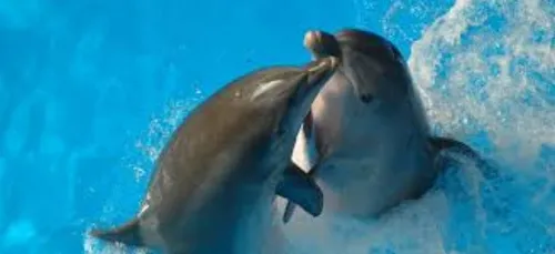 La revue presse du 26 décembre.