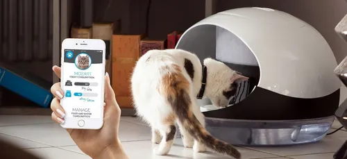 CES 2018 : Catspad, l'une des 60 entreprises de la région