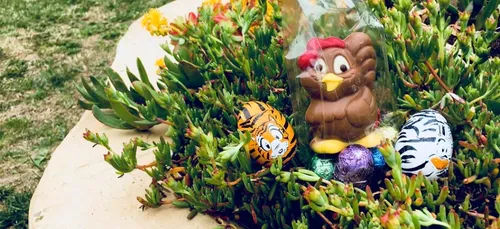 La chasse aux œufs de Pâques Dimanche ou Lundi ?