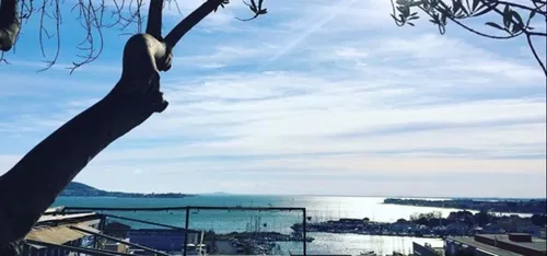 Le printemps est enfin arrivé en Occitanie !