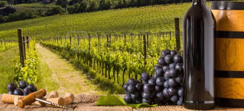 L'origine géographique bientôt précisée pour tous les vins?