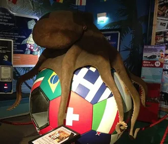 CdM 2018 : Achille le chat sourd, successeur de Paul le Poulpe