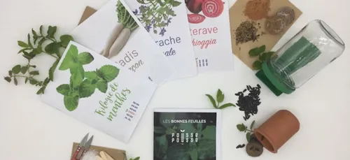 Pousse-Pousse : la box de jardinage sortie de terre à Perpignan