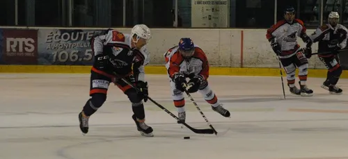 Hockey : retour sur la glace pour les Vipers