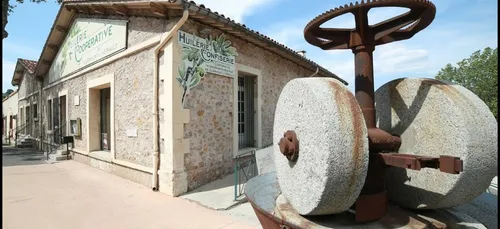 Oli d'Oc, coopérative oléicole d'Occitanie au Salon de...