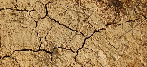 La sécheresse pourrait toucher l'Occitanie cet été