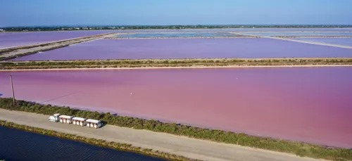 Feu vert pour l'IGP "Fleur de sel de Camargue"
