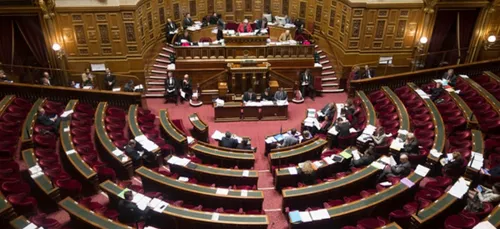 Loi bioéthique : la PMA validée sous conditions par le Sénat