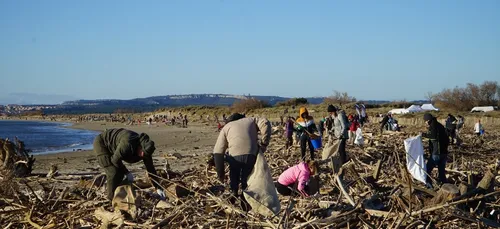 Aude : succès pour le nettoyage de la plage de Fleury